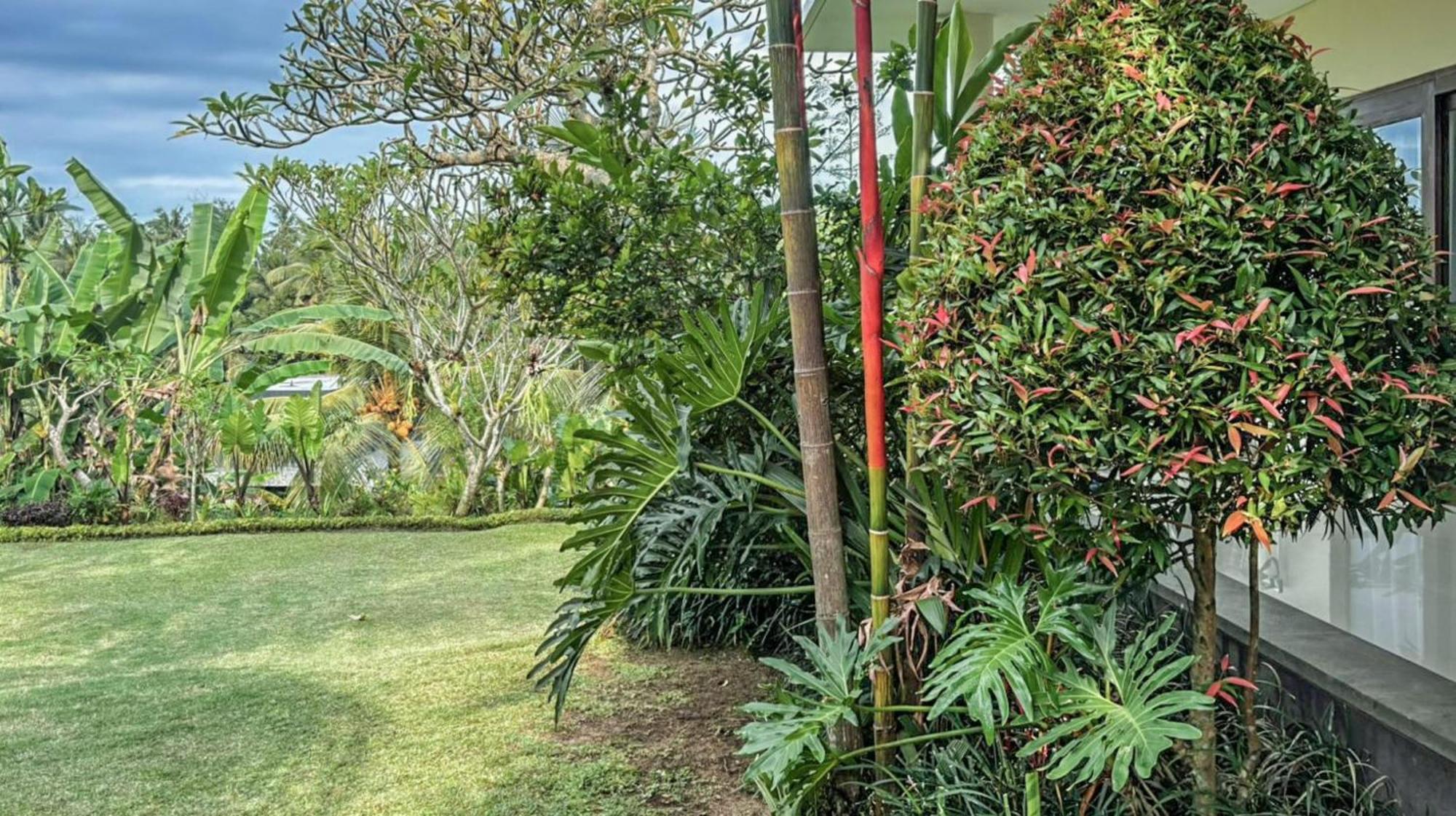 Dlobong Suite Ubud מראה חיצוני תמונה